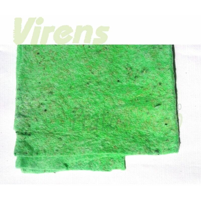 

Viresco - Sator - Biostuoia de césped rústico anti-erosión 100 metros cuadrados