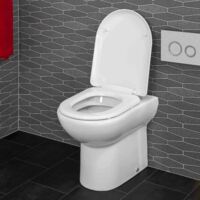 Saturn Back to Wall Toilet & Soft Close Seat