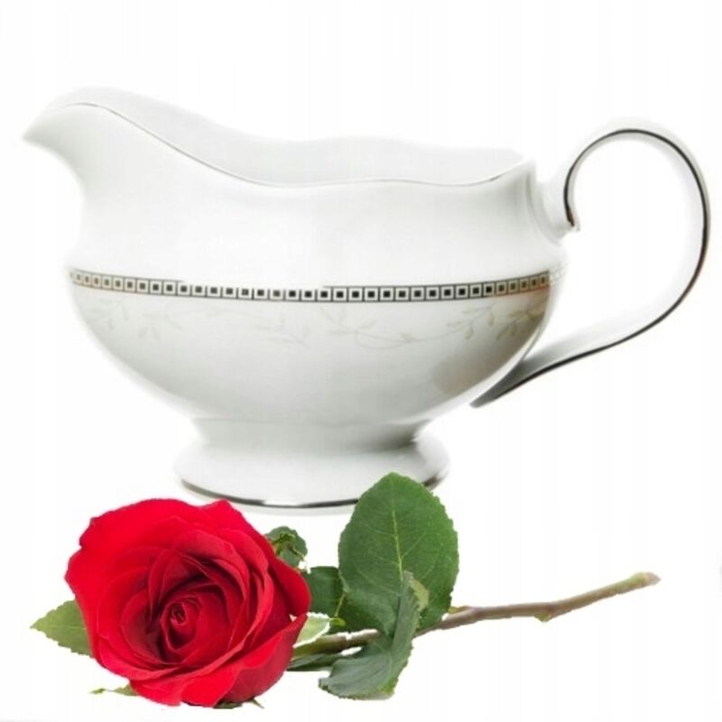 Saucière en porcelaine ChodzieŻ 500 ml Astra Dream Platinum Polish Product
