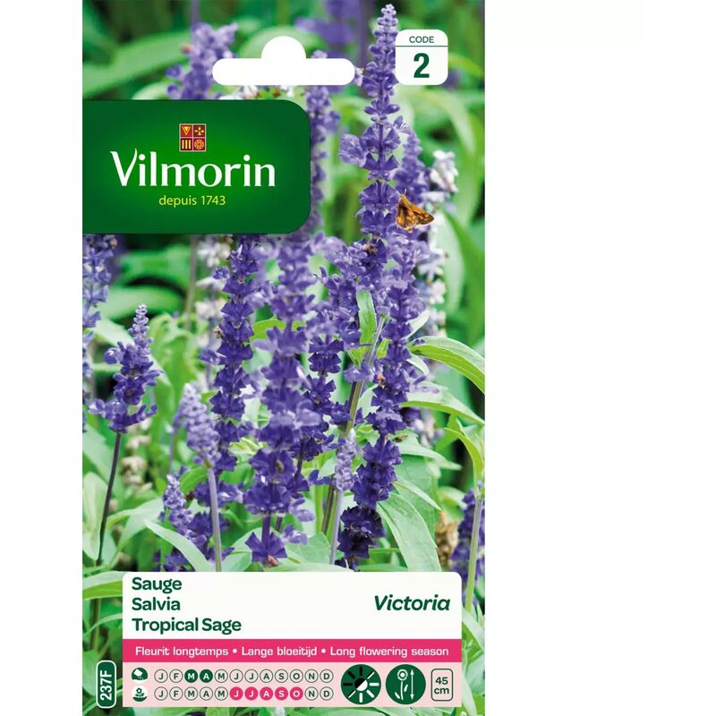 Vilmorin - Sachet graines Sauge Bleue Victoria
