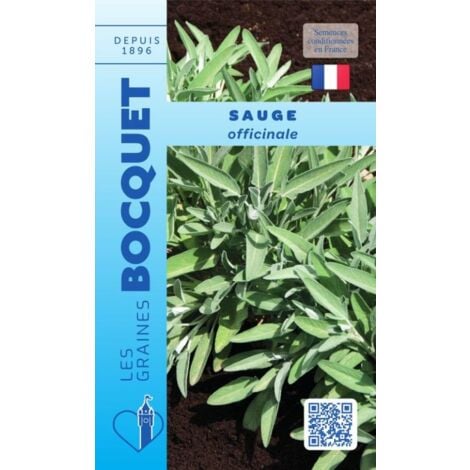 Sauge officinale - 1g
