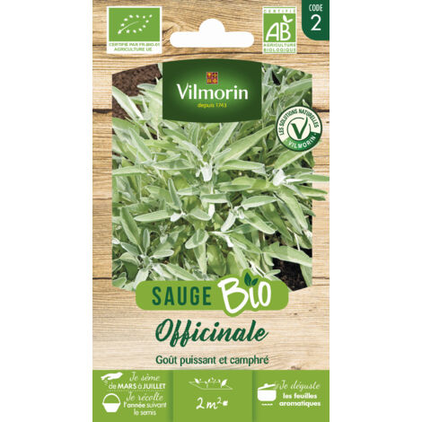 Sauge Officinale - BIO Vilmorin
