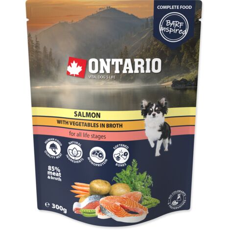 Saumon de l'Ontario aux légumes en bouillon 300 g