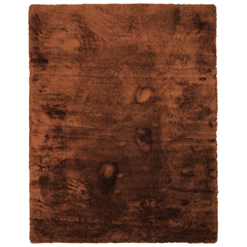 Thedecofactory - sauvage - Tapis à poils longs extra-doux marron clair 120x160