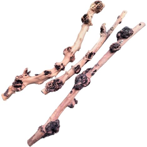Sava-Holz 40-60 cm