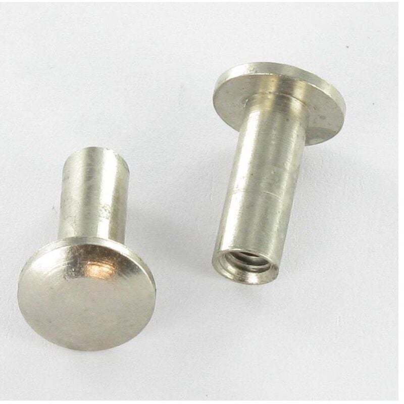 Vis Express - Ecrou Relieur Tête bombée M4X12 4X14 Laiton chrome-100 pièces