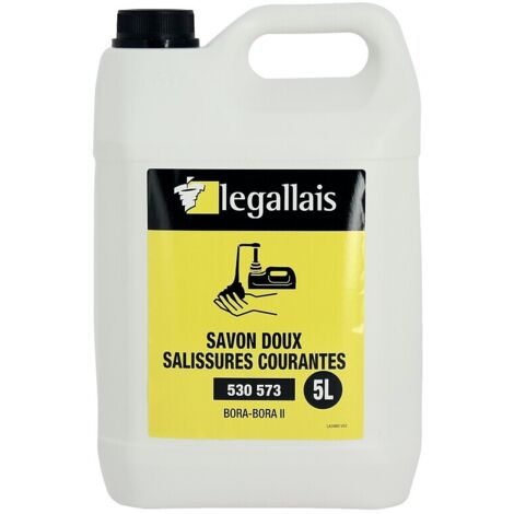 Savon doux Bora-Bora II pour salissures courantes bidon de 5l sans pompe - DREUMEX