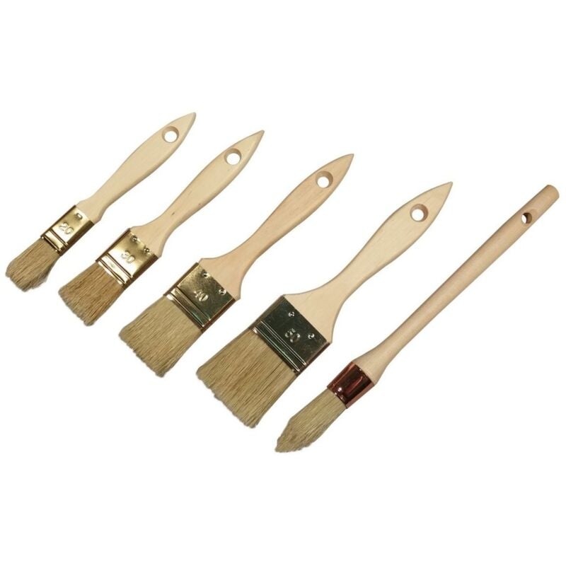 Lot 5 Pinceaux Fsc100% Pro Savy 9322000