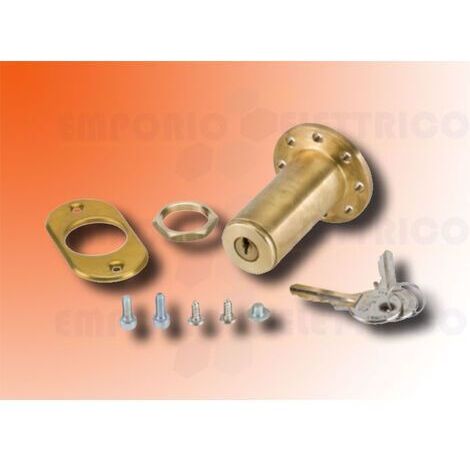 Sblocco Esterno a Chiave Per Attuatore 593 580 15MM Numero 01 FAAC 424560001