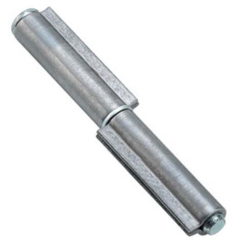 SC CERNIERA P/FERRO 2 ALI 100 MM 4 PZ
