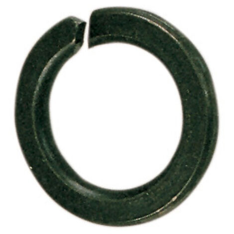 SC RONDELLA GROWER D 12 MM DA  50 PZ- 1,0 pz