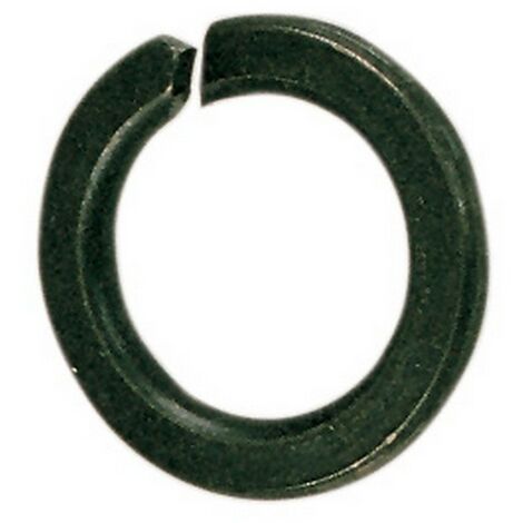 SC RONDELLA GROWER D 12 MM DA  50 PZ