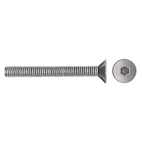 SC VITI P/BUSSOLA T.S.P. ESAG INC 6MA 60 MM 10 PZ