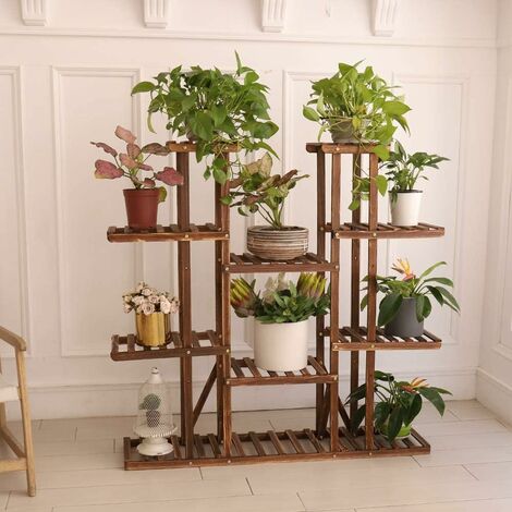 Interno domestico bianco con piante d'appartamento sullo scaffale di legno