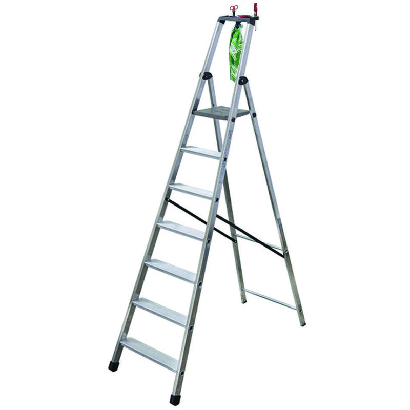 Scala in alluminio euroscala piu' su en131 - 9 gradini cm.62x16,6x286h (205h pedana) kg.10,2