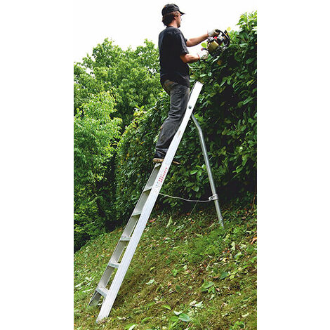 Scala agricola a 6 pioli con punta -  Lunghezza 3.24m - SCA1969/06-SCCSTO