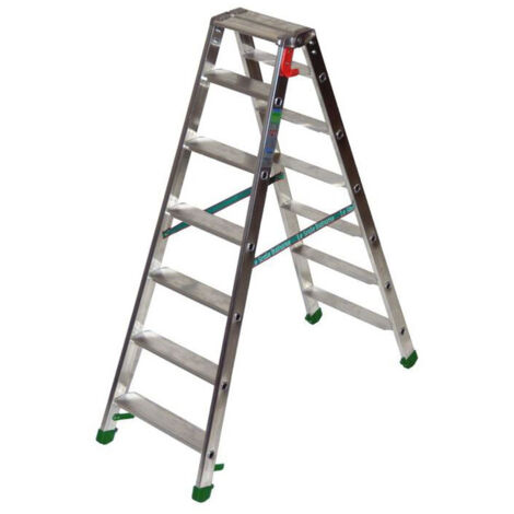 SCALA ALL. FACAL DUPLA DOPPIA SALITA 6 GRADINI- 1,0 pz