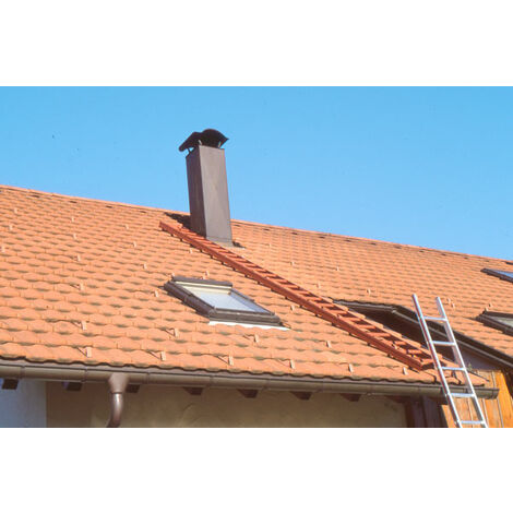 Scala per carpentieri - RAL 8014 marrone seppia - Lunghezza 3,90m - 409314