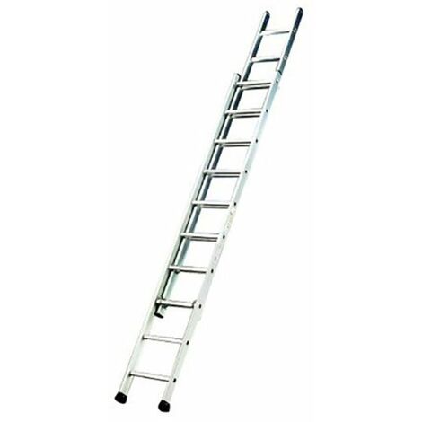 Scala per servizi antincendio 2x8 pioli - Altezza raggiungibile 3.78m - 2622008