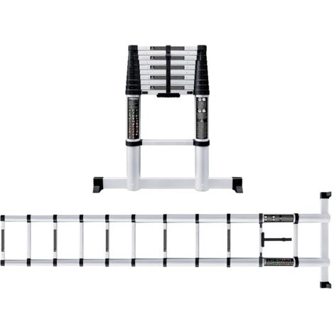 Scala Telescopica 320 cm WERKU
