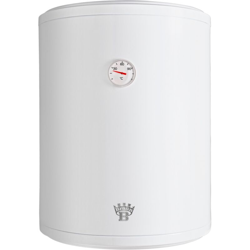 Scaldabagno Elettrico Verticale Da Muro Braun 50