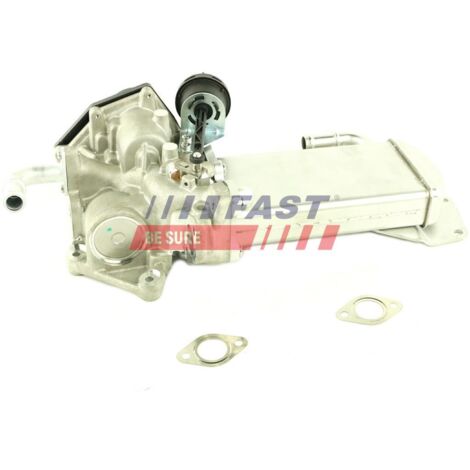 Scambiatore di calore EGR FT60423 veloce