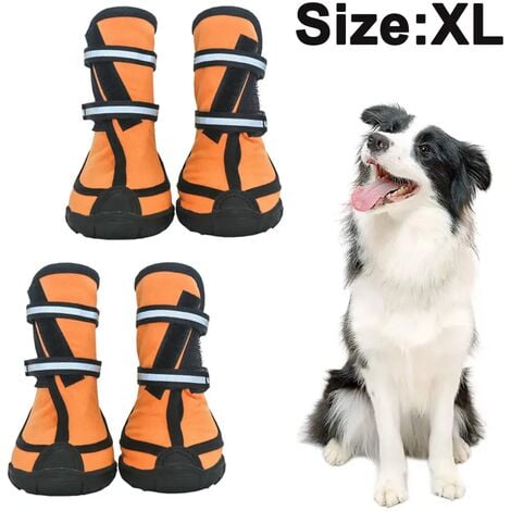 Scarpe per cani maxi on sale zoo