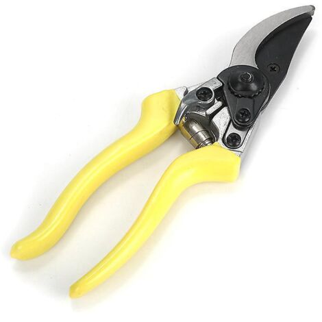 scateur De Jardin Professionnel Ciseaux Jardinage Forg. Cisaille Lame Franche En Acier Et Titane. Coupe Bypass. Poignes Ergonomiques