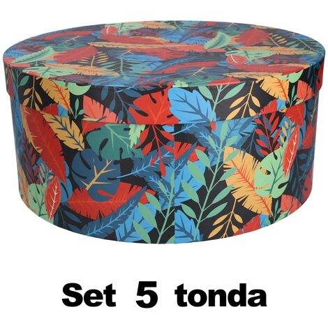Scatola  cartone 1-5 piume multicolor tondo cmø40