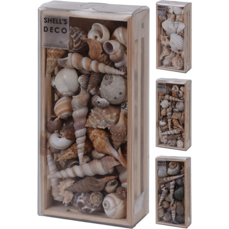 SCATOLA CON CONCHIGLIE DECORATIVE 22X10XH5CM IN 3