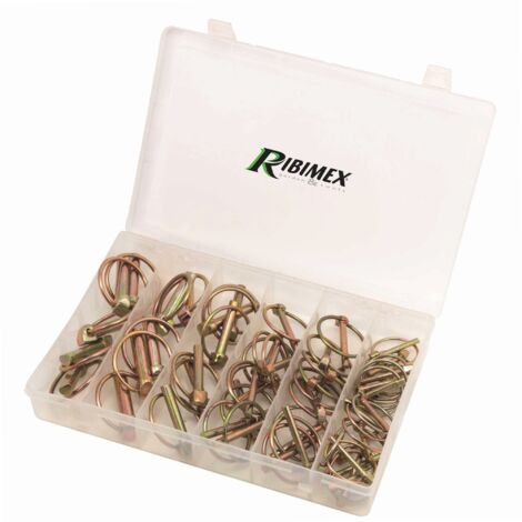 Scatola di 50 perni a clip assortiti  4 dimensioni