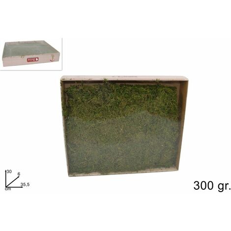 SCATOLA DI MUSCHIO 300 GR