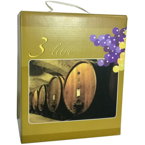SCATOLA P/SACCA BAG 3 L COLORATO E MANICO- 15,0 pz