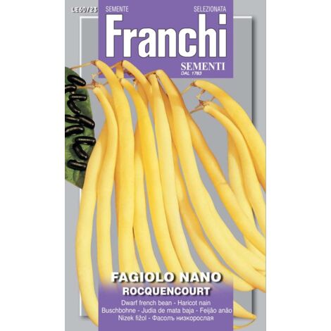 SCATOLA SEMI DI FAGIOLO NANO ROCQUENCOURT ORTO GIARDINO SEMI