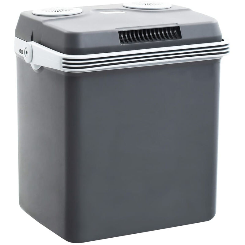 Scatola Termoelettrica Portatile 32 L 12 V 230 V A...