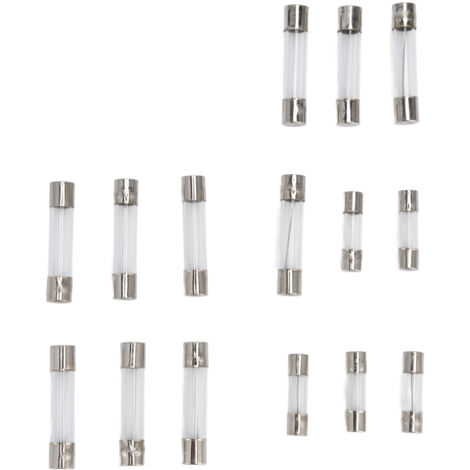Schachtel mit 250 Schnellbruchsicherungen – 15 Typen, 1–20 A, 250 V für elektronische Geräte