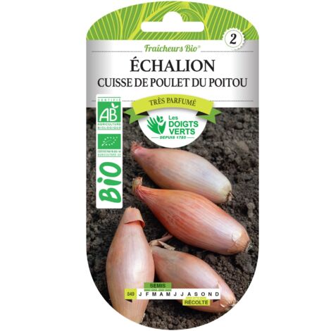 Schalotten-Samen Oberschenkel von Poitou BIO Die grünen Finger