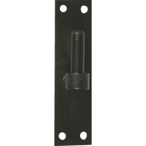 Scharnier auf vorlackierter Stahlplatte, H.120 x Dm.16 mm AFBAT
