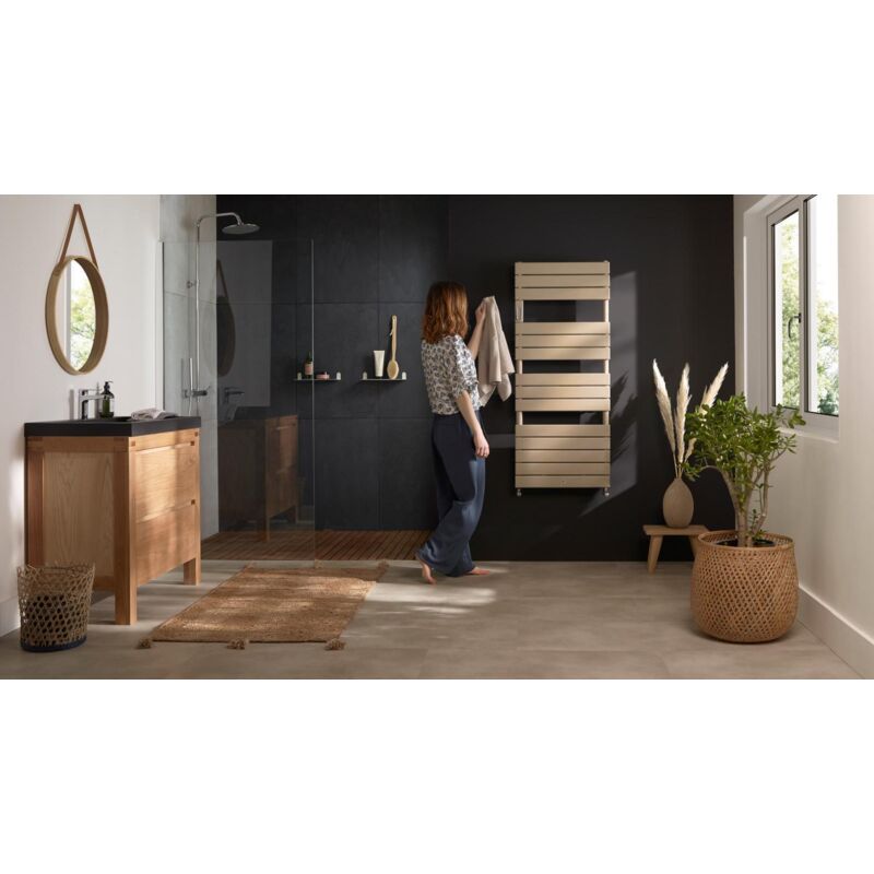 Thermor - Sèche-serviettes riviera 2 eau chaude 491W Noir Carbone 496107