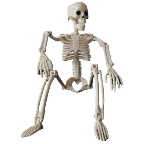 Scheletro da 40 cm Decorazione di Halloween Scheletri posizionabili, Scheletro di plastica Decorazione di scheletro di Halloween