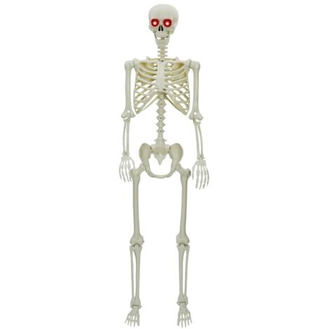 Scheletro di Halloween Bianco 155 x 38.5 cm Plastica vidaXL