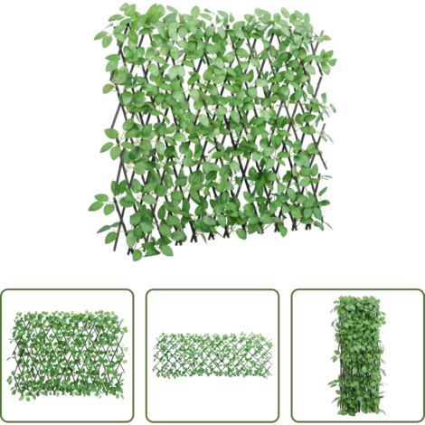 Schermatura esterna -  Traliccio Edera Artificiale Espandibile Verde 180x65 cm