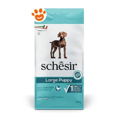Schesir Dog Large Puppy Mantenimento Pollo