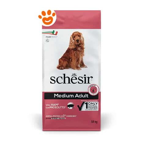 Schesir Dog Medium Adult Mantenimento Prosciutto