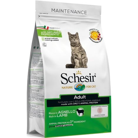 Schesir Dry Cat Mantenimento per Gatto Adult con Agnello 400g