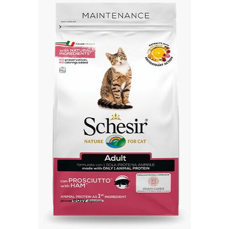 Schesir Dry Cat Mantenimento per Gatto Adult con Pollo