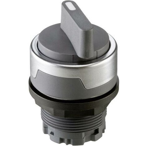 Schlegel RMCSTA RMCSTA Bouton sélecteur gris-argent 1 x 90 ° 1 pc(s) D77906