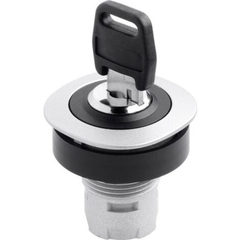 Schlegel RQJSSA18 RONTRON RQJSSA18 Interruttore a chiave Metallo, Nero 1 x 90 ° 1 pz.