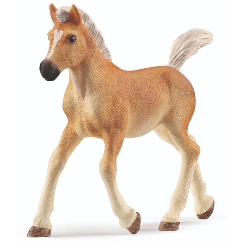 Poulain Haflinger Schleich