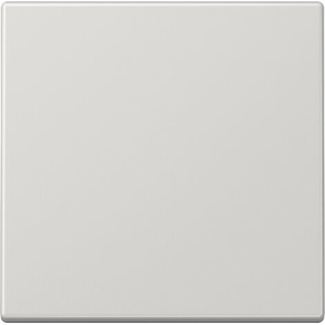 Schlüsselschalter, Schalter, Kreuz oder Taster GRAU GRAU JUNG LS 990 LG